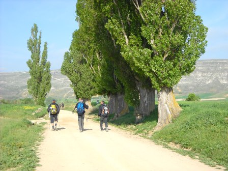 meseta spring Camino