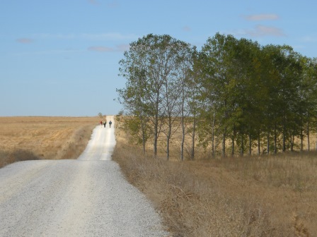 camino after Villares de Orbigo