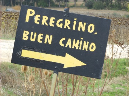 Peregrino, Buen Camino
