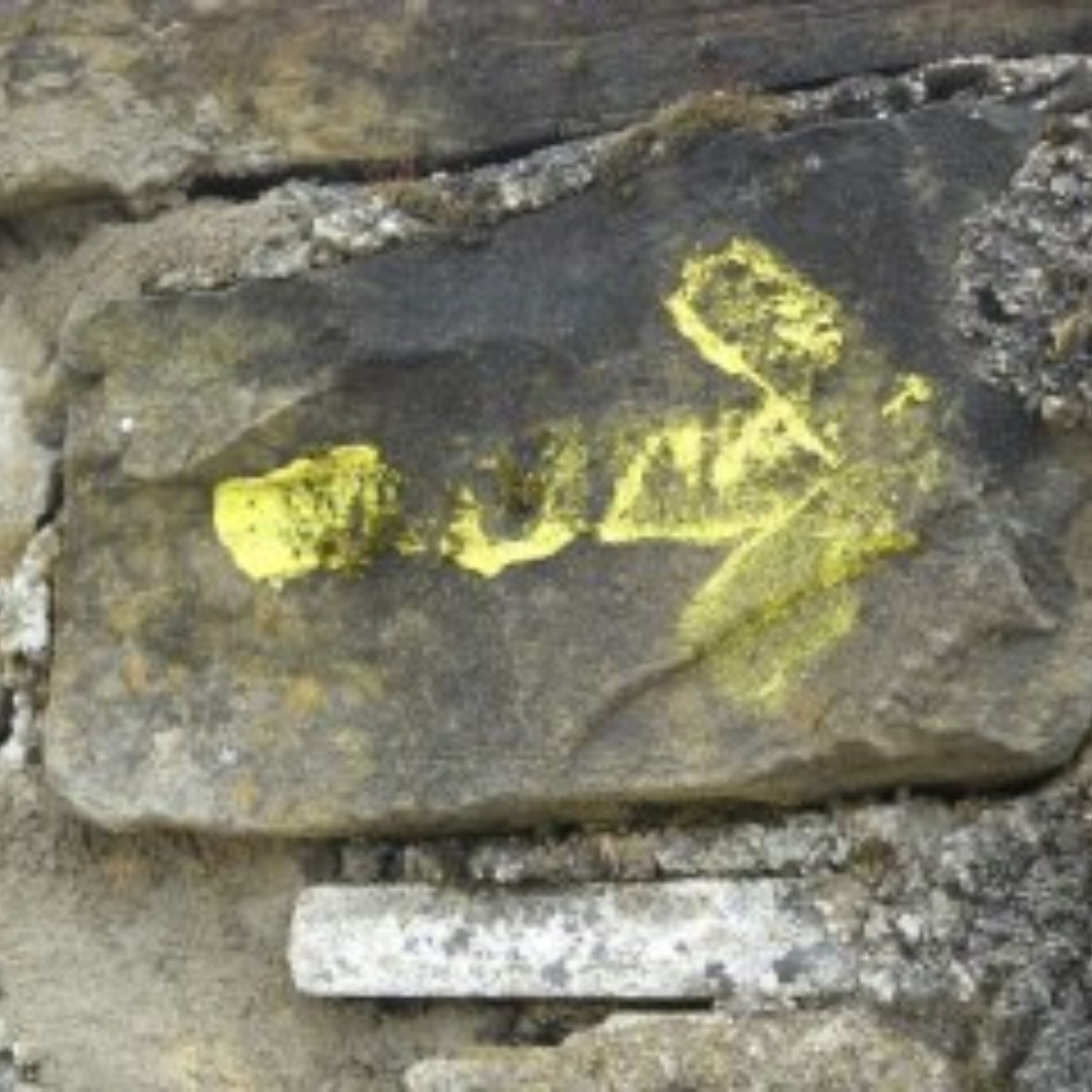 photo of yellow arrow trail marker on the Camino de Santiago
