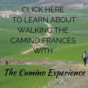 Walk with the Camino Experience