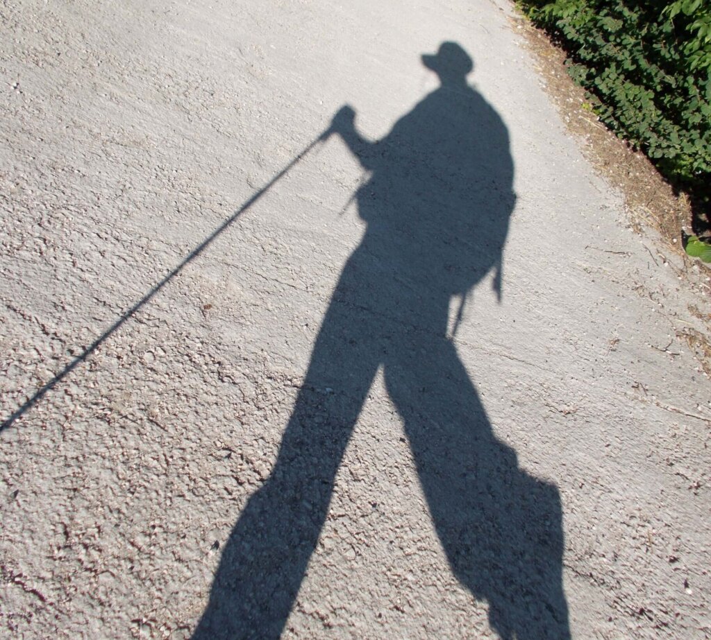 shadow of pilgrim