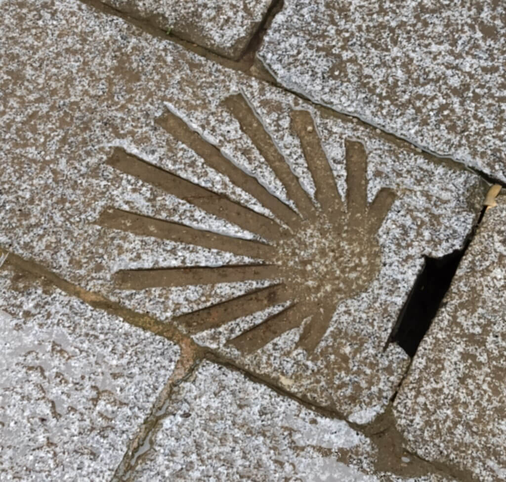 Camino symbol on ground