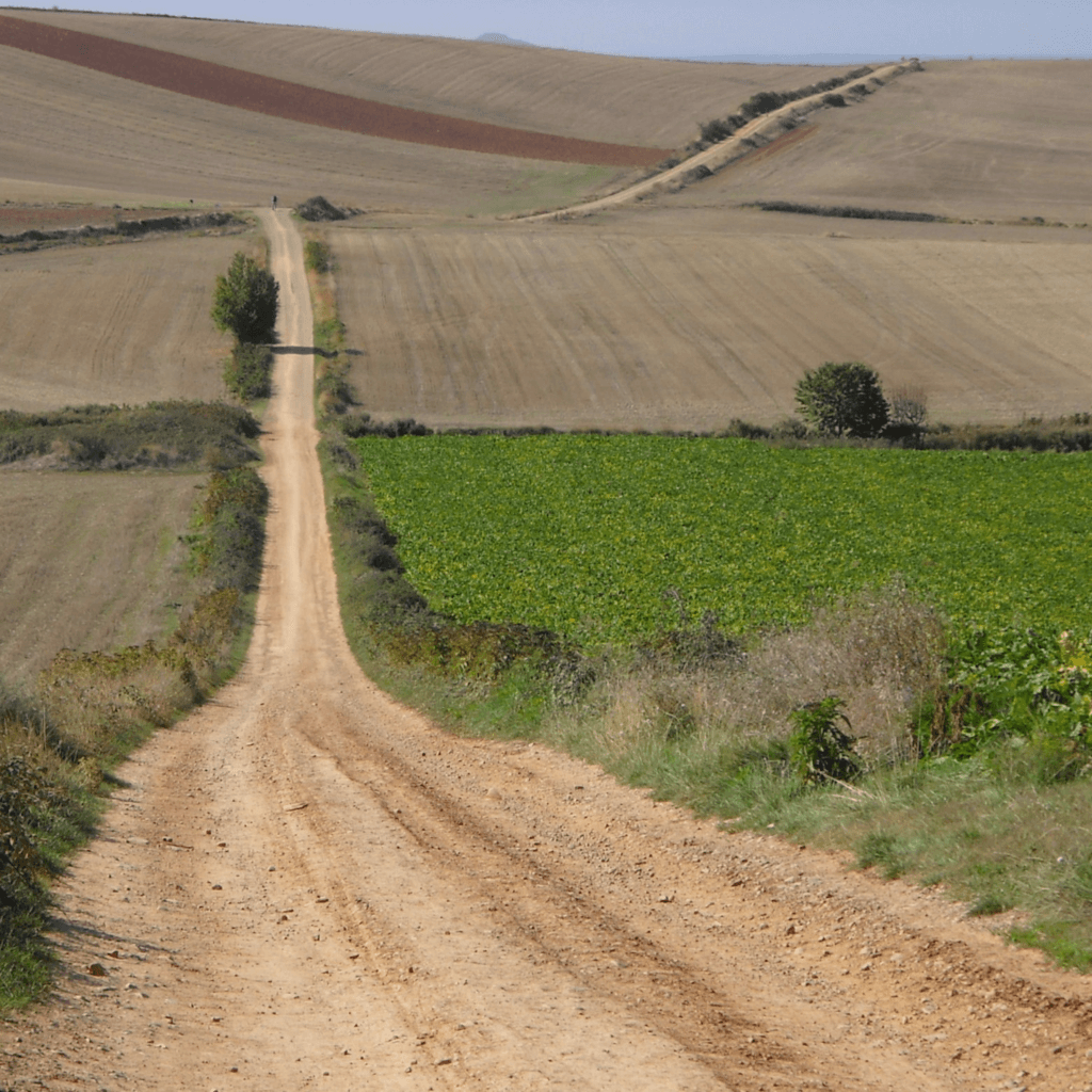 dirt trail