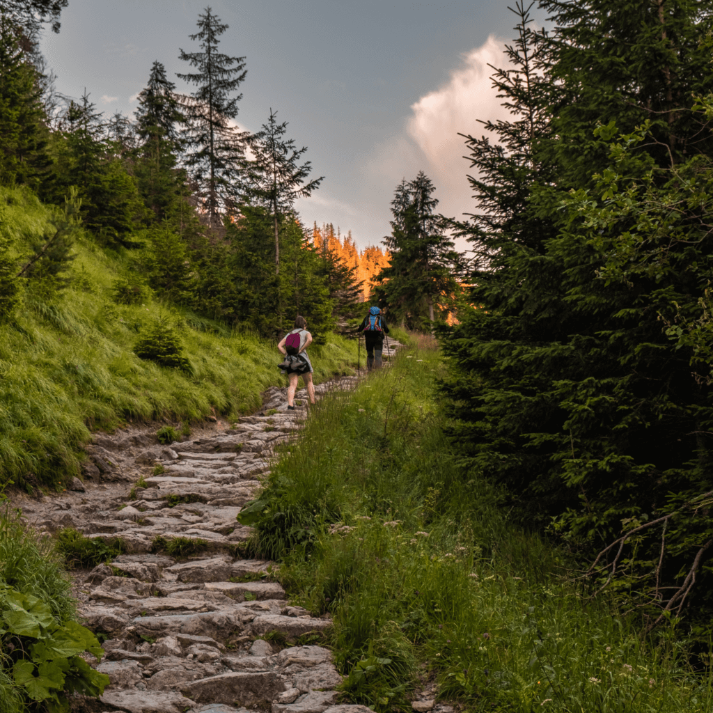 hiker on rocky trail